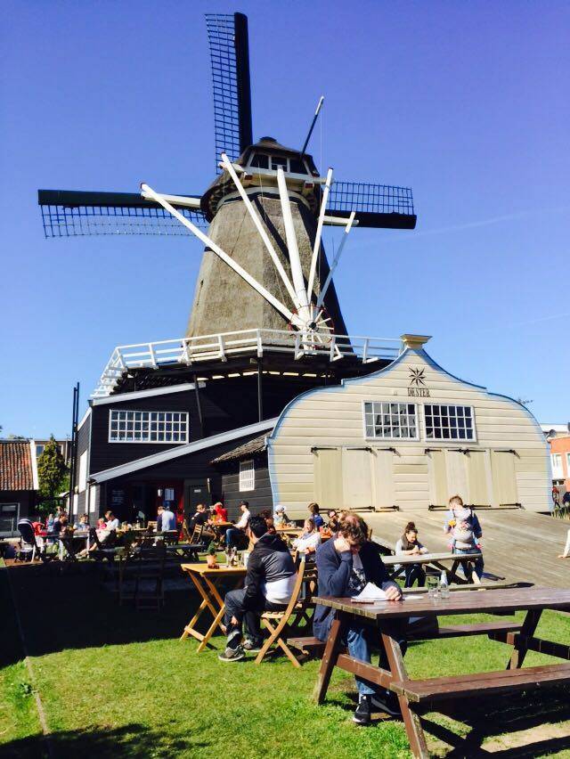 Molen de Ster